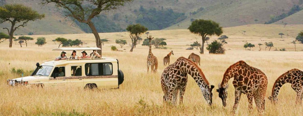 Safari vehicle crossing an African landscape