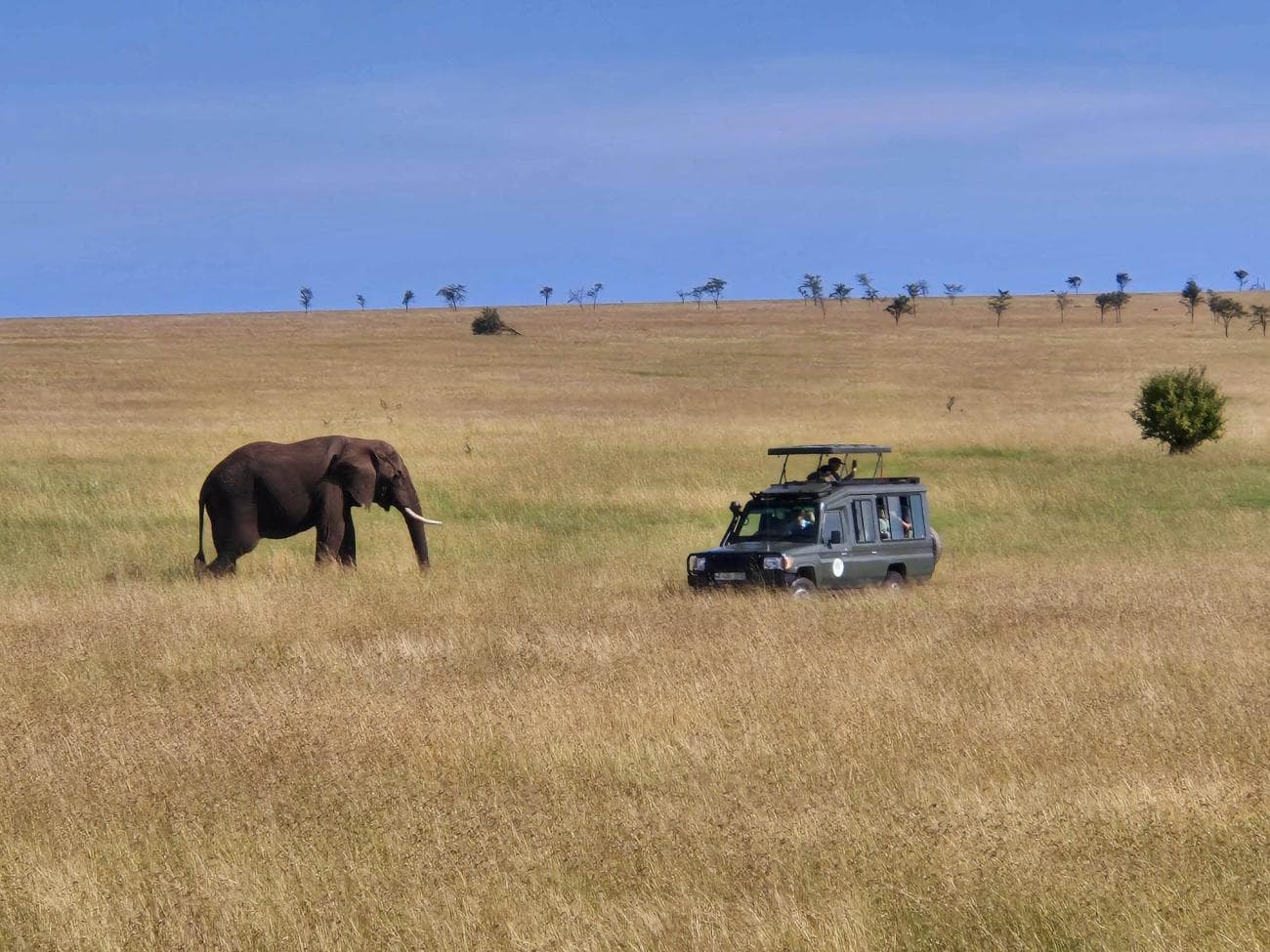 Travellers enjoying a safari experience